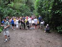 Sometimes a swarm of tourists means something good.  Other times it means someone spotted a crab. (Category:  Travel)