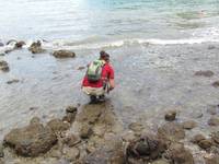 Tara's first time in the Pacific Ocean. (Category:  Travel)