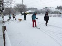 Getting ready to ski. (Category:  Skiing)