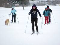 Atticus, Annie, Jen, Shanna, Jasper (Category:  Skiing)