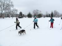 Skijoring! (Category:  Skiing)