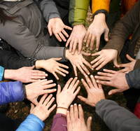 Everyone's hands at the end of class. (Category:  Rock Climbing)
