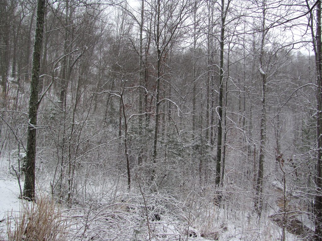 It snowed for about 48 hours continuously. (Category:  Rock Climbing)