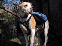 Angua posing for her calendar cover portrait. (Category:  Rock Climbing)