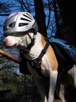 Angua posing for her calendar cover portrait. (Category:  Rock Climbing)