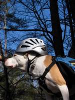 Angua posing for her calendar cover portrait. (Category:  Rock Climbing)