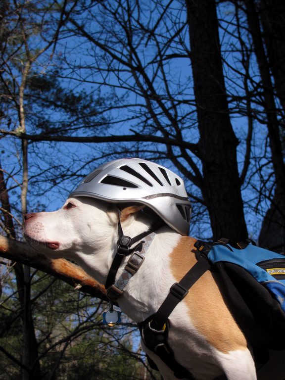 Angua posing for her calendar cover portrait. (Category:  Rock Climbing)