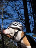 Angua posing for her calendar cover portrait. (Category:  Rock Climbing)