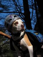 Angua posing for her calendar cover portrait. (Category:  Rock Climbing)