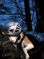 Angua posing for her calendar cover portrait. (Category:  Rock Climbing)