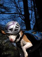 Angua posing for her calendar cover portrait. (Category:  Rock Climbing)