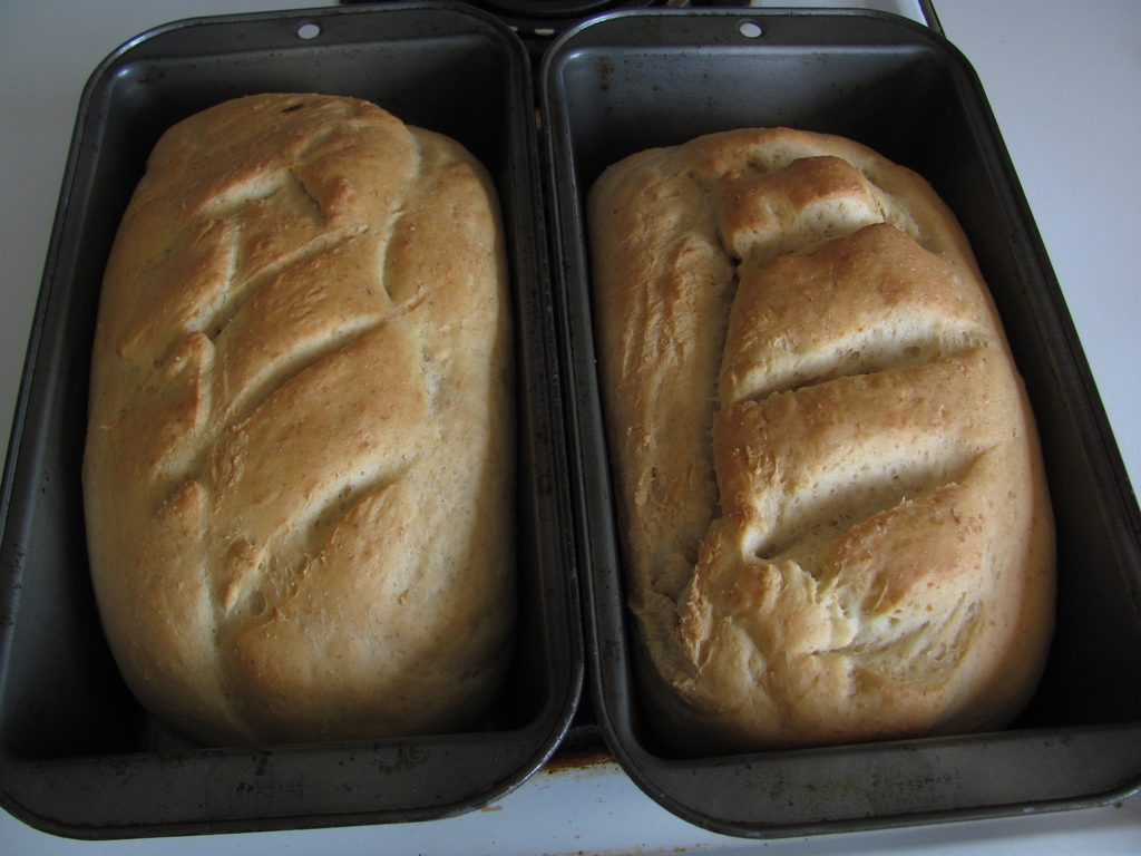 I made two loaves of bread :) (Category:  Rock Climbing)
