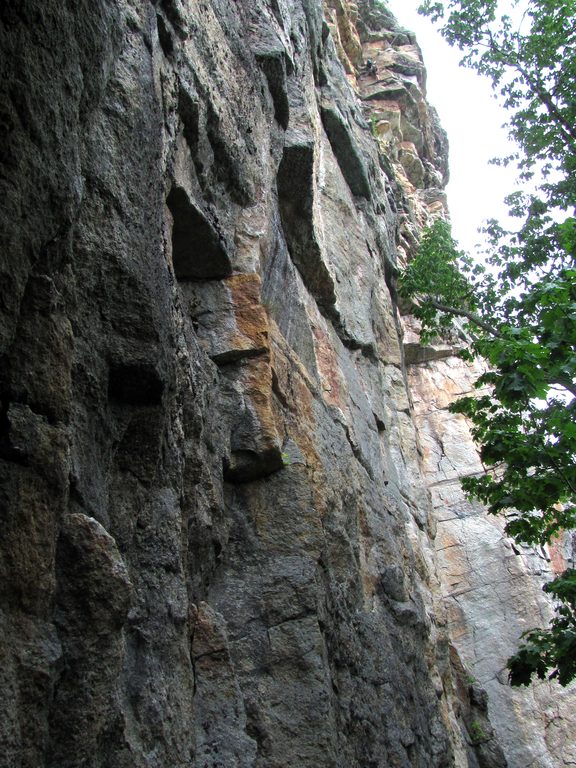 Julia near the top of Birdland (Category:  Rock Climbing)