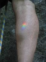 Rainbow tattoo courtesy of belay specs. (Category:  Rock Climbing)