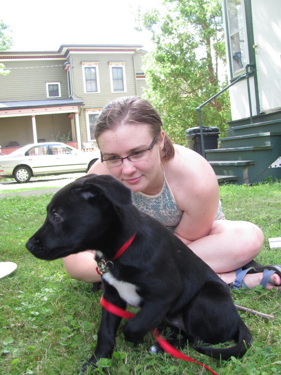 Helping Katie move into her new place. (Category:  Dogs)