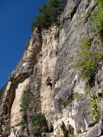 Adam cleaning a route. (Category:  Rock Climbing)