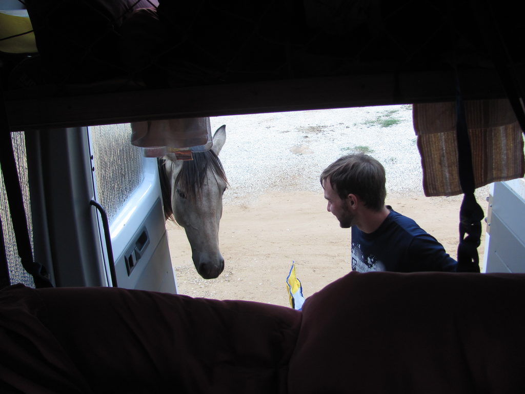 Before going for a ride, he wanted to check out the kitchen. (Category:  Rock Climbing)