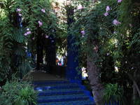 Majorelle Gardens (Category:  Travel)