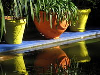 Majorelle Gardens (Category:  Travel)