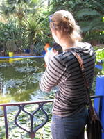 Majorelle Gardens (Category:  Travel)