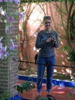 Majorelle Gardens (Category:  Travel)