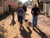 Heading out for a hike. Emily, Jess, Lindsay, Dan, Daisy and Drew. (Category:  Travel)