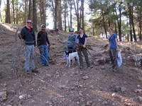 We collected a bunch of firewood. (Category:  Travel)