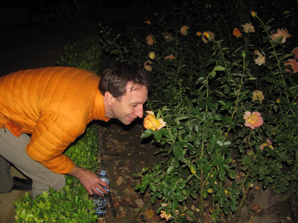 Stop and smell the roses (Category:  Travel)