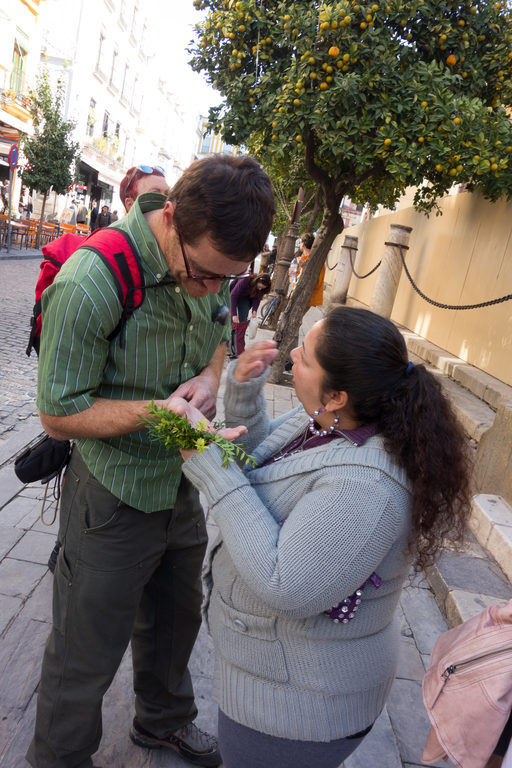 You'll lead a long and happy life.  Now give me money. (Category:  Travel)