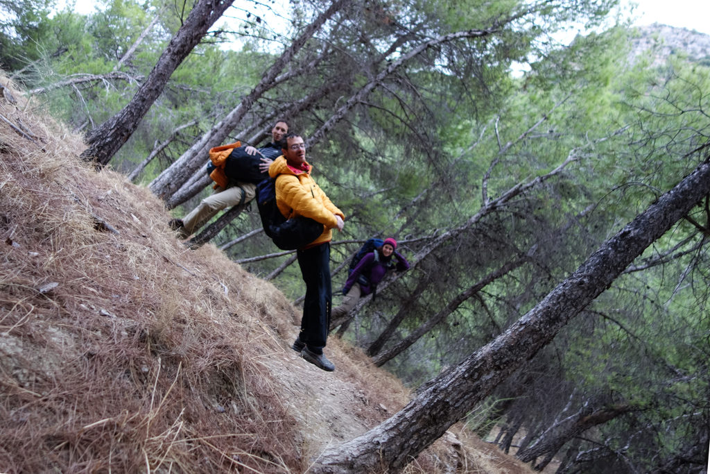 This is a level photo.  The ground is tilted and all the trees are growing at an angle. (Category:  Travel)