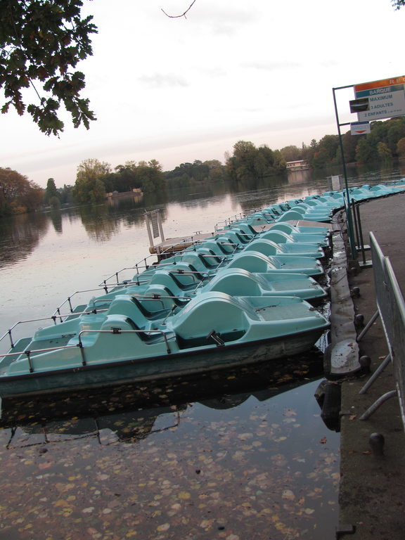 Lyon peddle boat share :) (Category:  Travel)