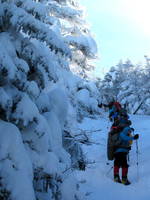 The class hiking up Algonquin. (Category:  Ice Climbing)