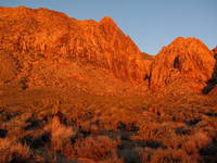 Tammy blending into the desert just as the sun rises in Black Velvet Canyon. (Category:  Rock Climbing)