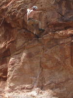 Me on Drilling Miss Daisy (Category:  Rock Climbing)