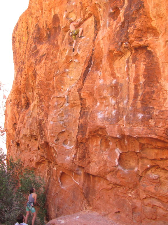 By chameleon I mean he climbs with lizard-like skill... (Category:  Rock Climbing)