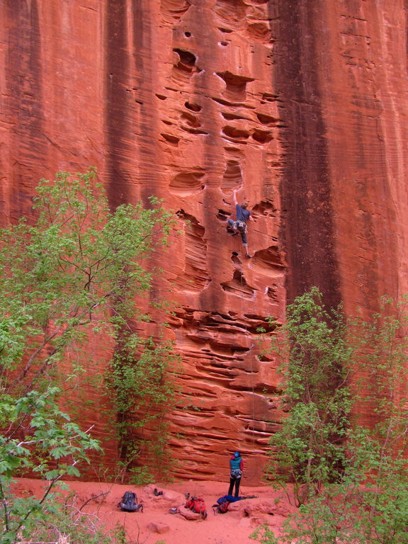 Chad on Half Route (Category:  Rock Climbing)