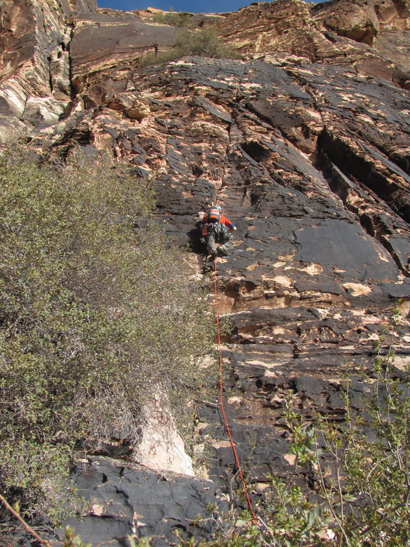 Josh leading the first pitch of Birdland. (Category:  Rock Climbing)