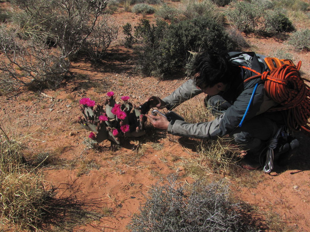 Sam getting a photo. (Category:  Rock Climbing)