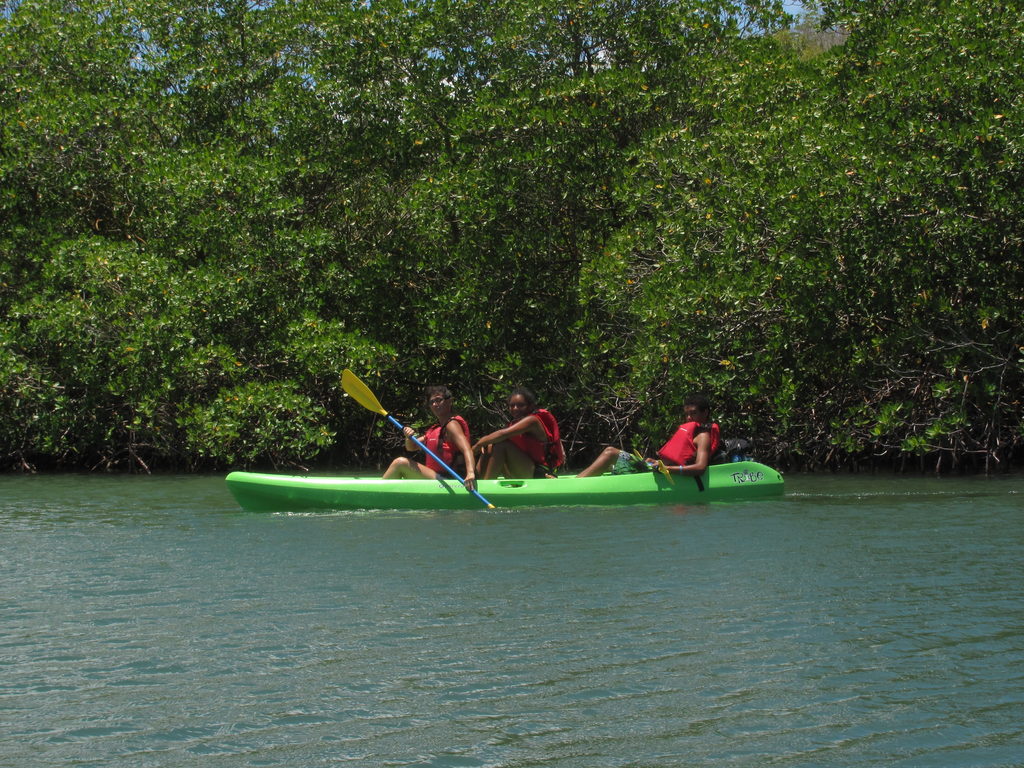 Paddling (Category:  Family)