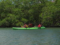 Paddling (Category:  Family)