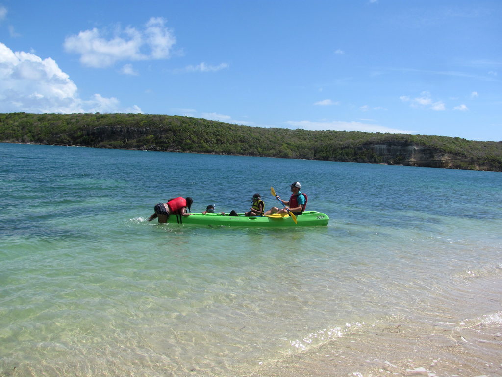 You're beached Bro! (Category:  Family)