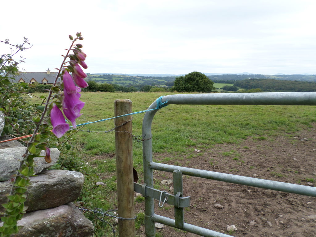 Climbing out of Macroom we got some nice views of the whole Lee River valley (Category:  Travel)