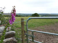 Climbing out of Macroom we got some nice views of the whole Lee River valley (Category:  Travel)