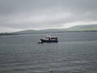 During our walk back to town, Fungie the Dolphin made an appearance (Category:  Travel)