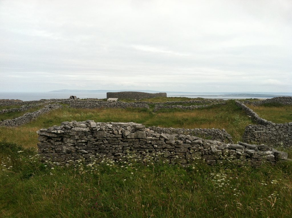 The funny thing about archeological sites in Ireland is that sometimes you see more animals investigating them than people. The innermost wall of this fort is fairly intact, and the second is visibly remnant, but the third wall has been converted into one of those stone walls that delineate property, and the rest of the area in the fort is divided into pastures (Category:  Travel)