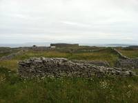 The funny thing about archeological sites in Ireland is that sometimes you see more animals investigating them than people. The innermost wall of this fort is fairly intact, and the second is visibly remnant, but the third wall has been converted into one of those stone walls that delineate property, and the rest of the area in the fort is divided into pastures (Category:  Travel)