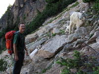 Me and a mountain goat. (Category:  Rock Climbing)