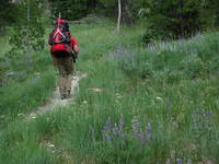 Hiking in to Mt. Stuart. (Category:  Rock Climbing)