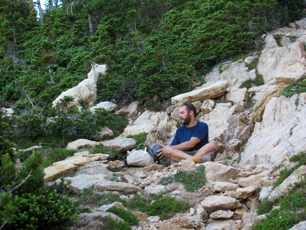 Phil and a Mountain Goat. (Category:  Rock Climbing)