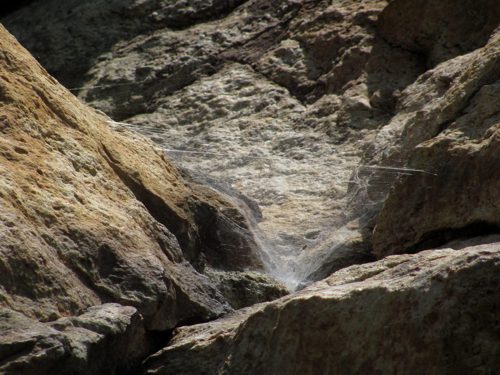 Infrequently done climbs = lots of spider webs. (Category:  Rock Climbing)